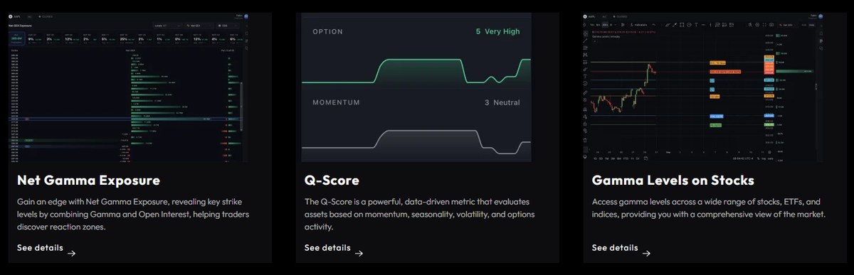 Net Gamma Exposure, Q-Score and Gamma Levels on Stocks in the MenthorQ model library