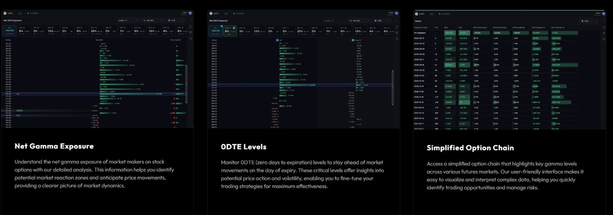 Net Gamma Exposure, 0DTE levels and the simplified option chain behind MenthorQ gamma levels